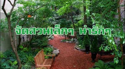 จัดสวนเล็กๆ น่ารักๆ