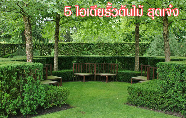 5 ไอเดียรั้วต้นไม้ สุดเจ๋ง