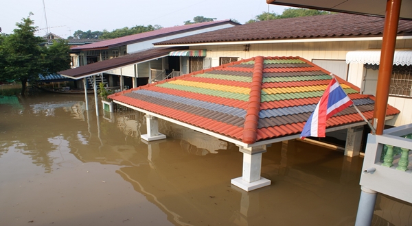 การซ่อมแซมผนังบ้านหลังน้ำท่วม