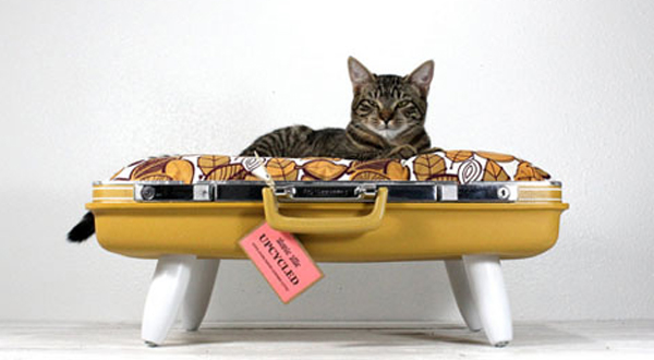 ไอเดียเฟอร์นิเจอร์สำหรับสัตว์เลี้ยง