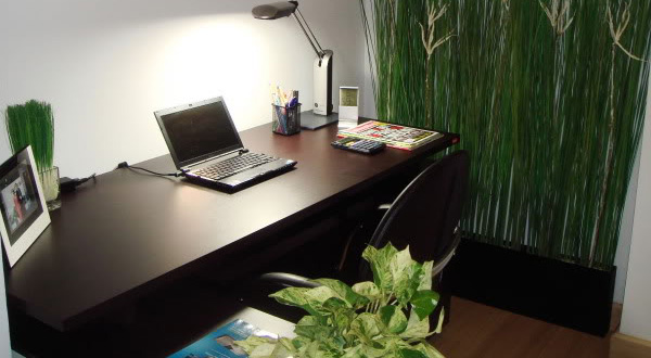 10 ไม้มงคลประดับบนโต๊ะทำงาน 