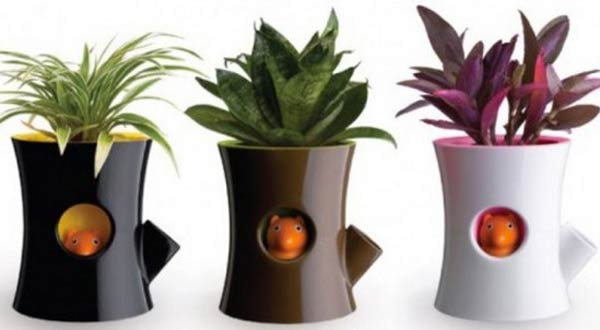 ปลูกต้นไม้ในแก้วสวยๆ