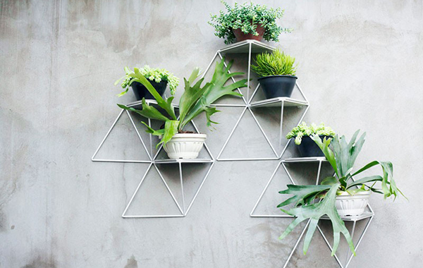 จัดสวนสวย ติดผนัง