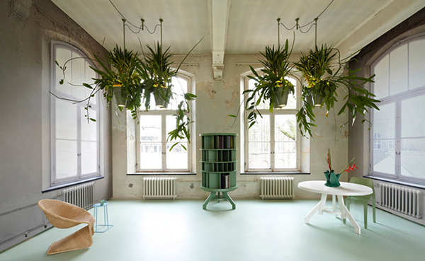 ไอเดียการปลูกต้นไม้แบบแขวน