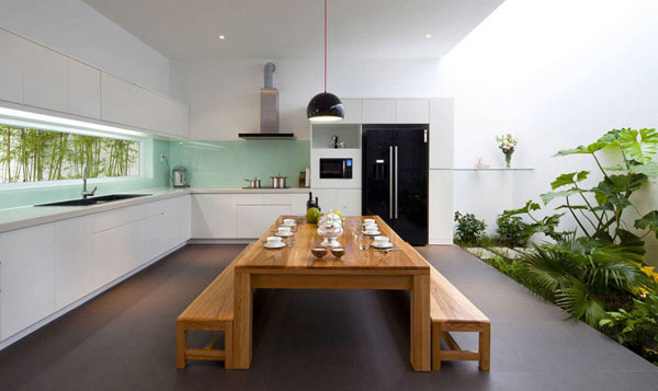 จัดสวนในห้องครัว