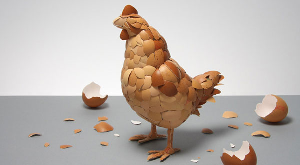 เปลือกไข่สร้างไก่