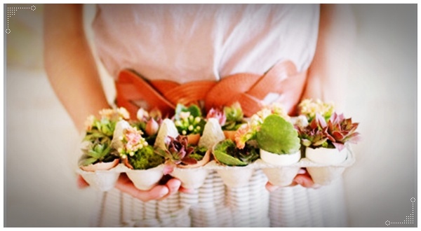 แต่งสวน ในเปลือกไข่