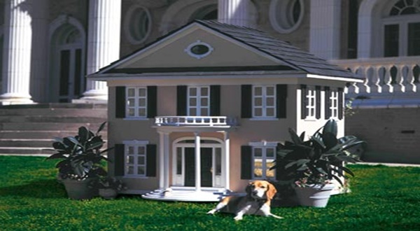 ด็อก เฮาส์ ดีไซน์   บ้านหมาสุดหรูสไตล์โมเดิร์น