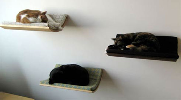 ที่นอนของแมวเหมียว