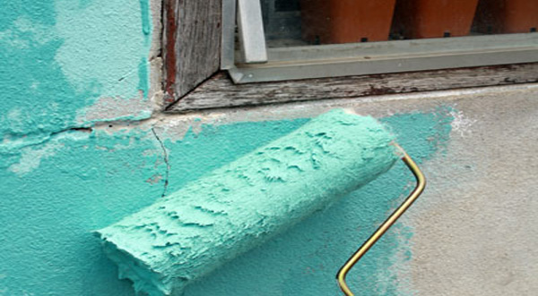 ปัญหาฟิล์มสีขึ้นราและตะไคร่น้ำ