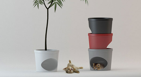 ที่พักสัตว์เลี้ยง