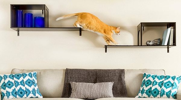 ไอเดียการตกแต่งบ้านของคุณให้น่าอยู่สำหรับน้องแมว