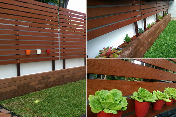 จัดสวนริมรั้ว พร้อมปลูกผักไว้กินเอง