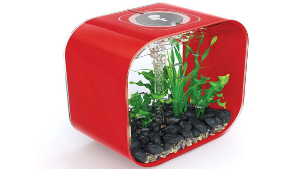 ตู้ปลา Biorb น่ารักๆ