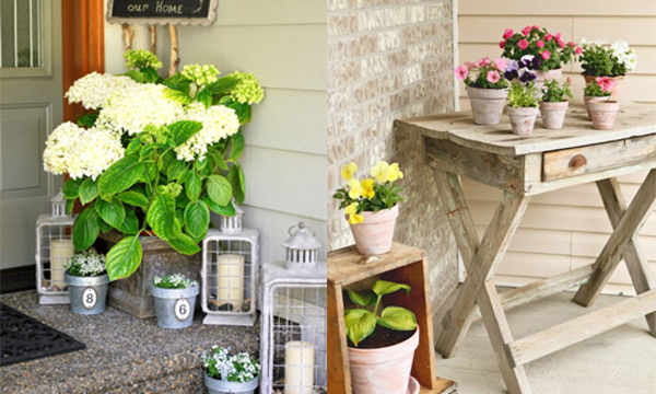 เติมความสดชื่นให้บ้าน ด้วยต้นไม้ดอกไม้กันเถอะ