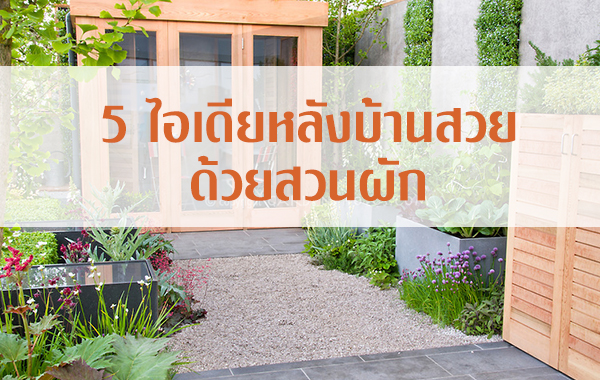 5 ไอเดียหลังบ้านสวยด้วยสวนผัก