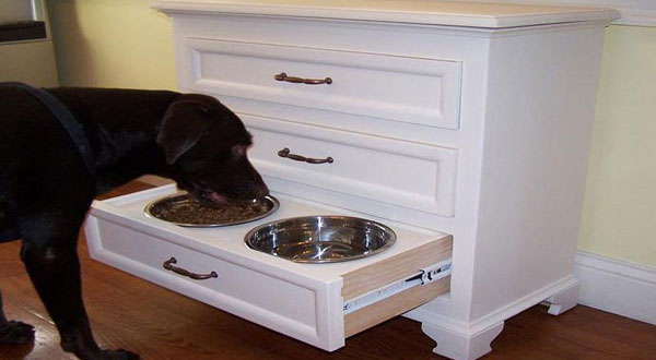 เฟอร์นิเจอร์สัตว์เลี้ยงอเนกประสงค์