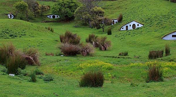 บ้านแกะประเทศนิวซีแลนด์