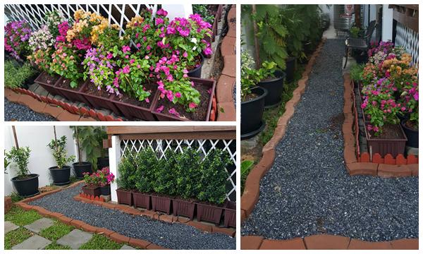 จัดสวนข้างบ้าน..กับบ้านอายุ 30 ปี..ใช้เวลาหลังเลิกงานวันละ 1-2 ชม