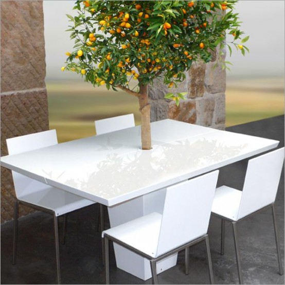 โต๊ะอาหาร เฟอร์นิเจอร์ ปลูกต้นไม้ กระถางต้นไม้ 