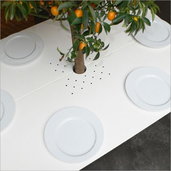 โต๊ะอาหาร เฟอร์นิเจอร์ ปลูกต้นไม้ กระถางต้นไม้ 