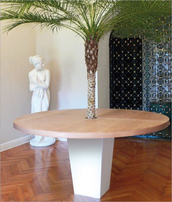 โต๊ะอาหาร เฟอร์นิเจอร์ ปลูกต้นไม้ กระถางต้นไม้ 