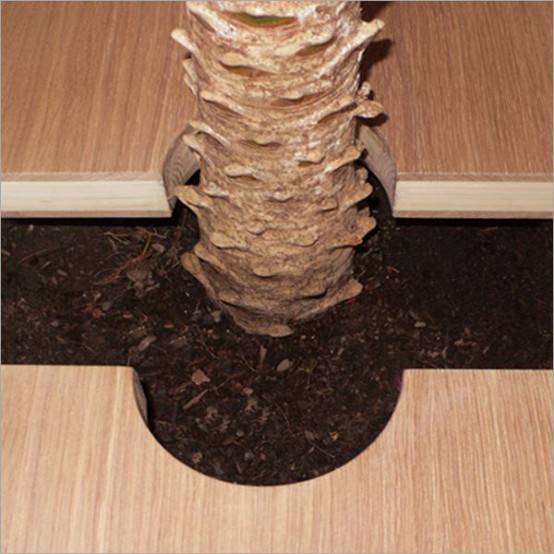 โต๊ะอาหาร เฟอร์นิเจอร์ ปลูกต้นไม้ กระถางต้นไม้ 