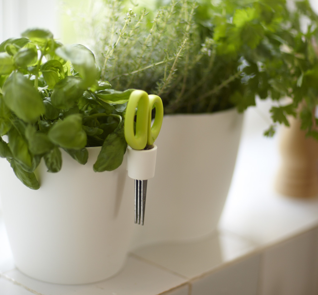 แจกัน สมุนไพร แจกัน สมุนไพร