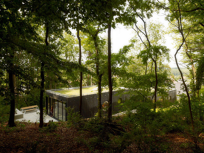 บ้านบนเขา