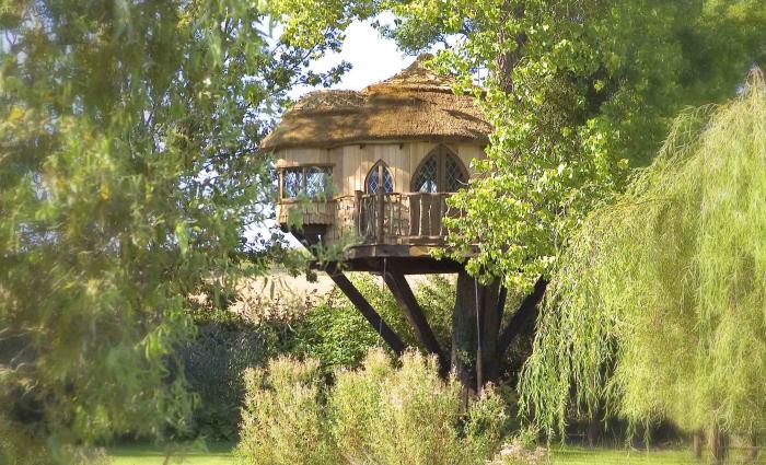 บ้านต้นไม้ บ้านต้นไม้