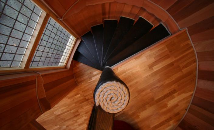 พื้นไม้ พื้นไม้