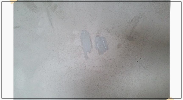 ผนังปูนเปลือย ผนังปูนเปลือย