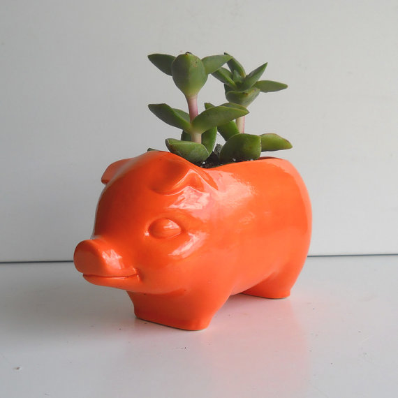 การทำสวนจิ๋ว 