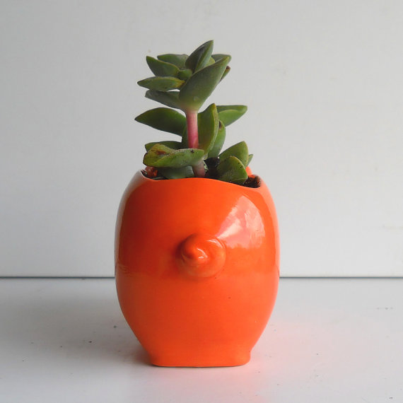 การทำสวนในคอนโด 