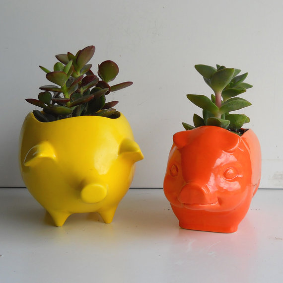 การทำสวนในห้องพัก