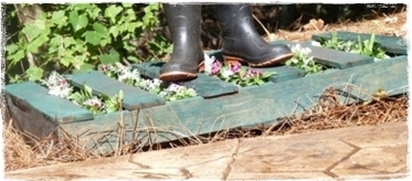 แผ่นไม้