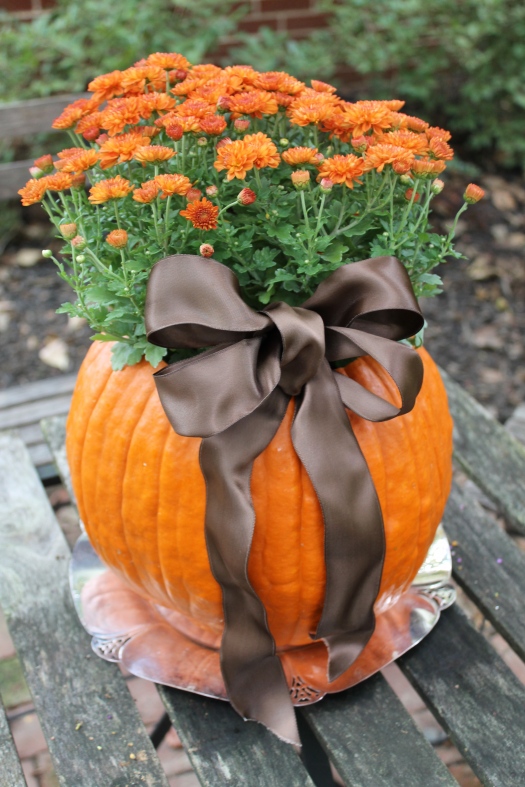 กระถางฝักทอง กระถางฝักทอง