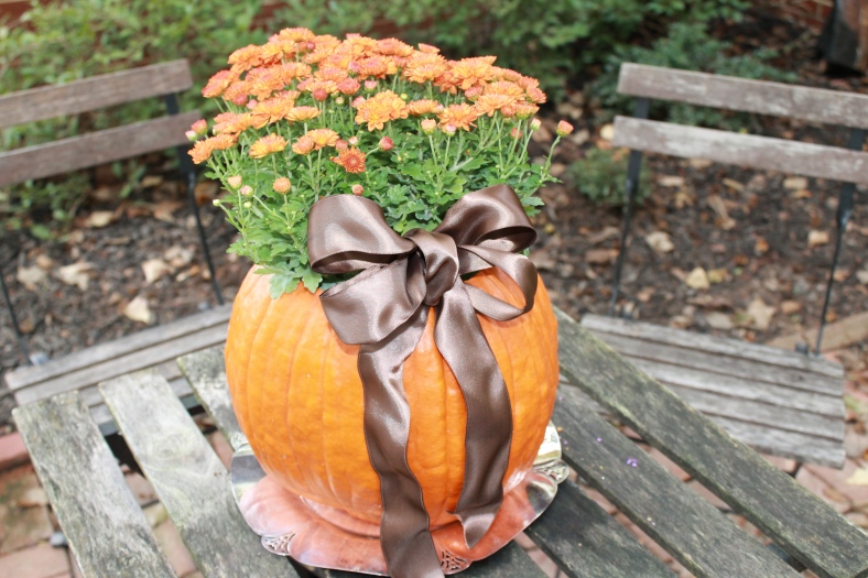 ไอเดียกระถาง ไอเดียกระถาง