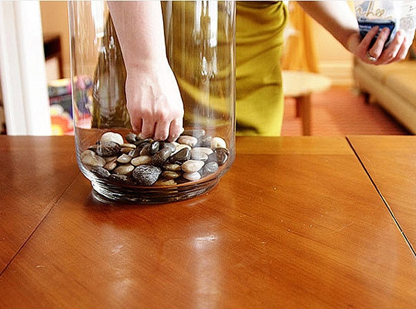 การทำสวนในขวด การทำสวนในขวด