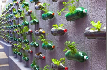 ไอเดียจัดสวน ไอเดียจัดสวน