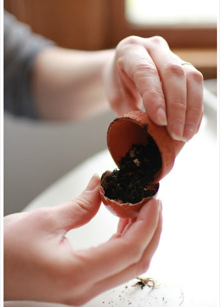 จัดสวนประยุกต์ จัดสวนประยุกต์