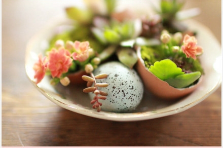 เปลือกไข่ เปลือกไข่