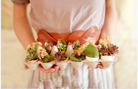 จัดสวนในเปลือกไข่ จัดสวนในเปลือกไข่