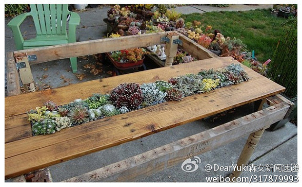 สวนสวยด้วยมือเรา สวนสวยด้วยมือเรา