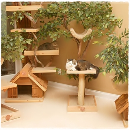 ออกแบบบ้านแมว