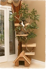 บ้านแมวเหมียว บ้านแมวเหมียว