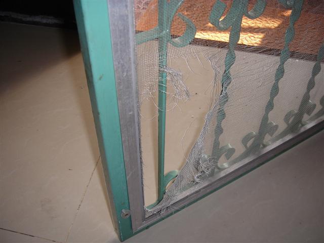 ทำมุ้งลวด ทำมุ้งลวด