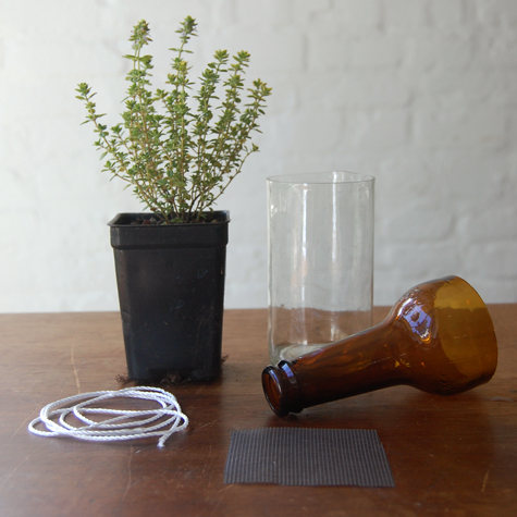 สวนครัว