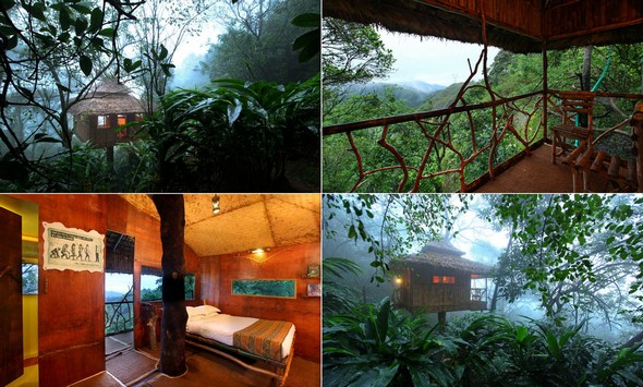 บ้านธรรมชาติ 