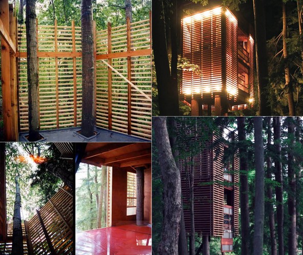 ออกแบบบ้านด้วยไม้ระแนง